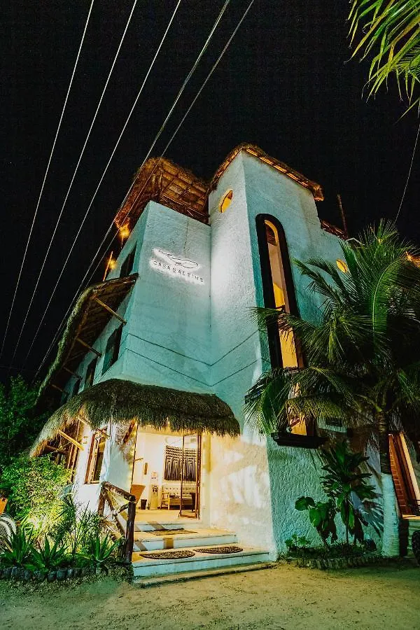 Hotel Casa Baleine Isla Holbox