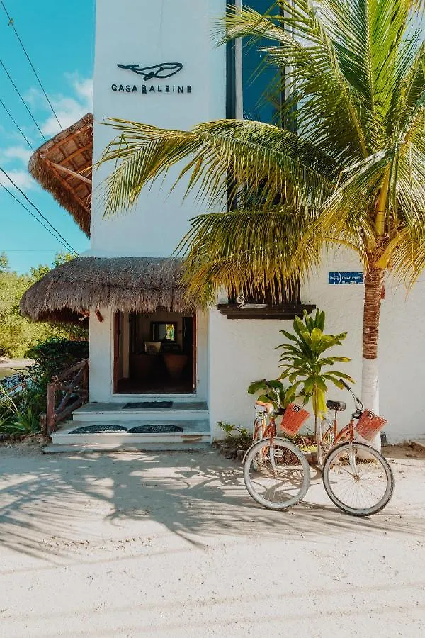 Hotel Casa Baleine Isla Holbox